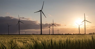 wind turbines in open field