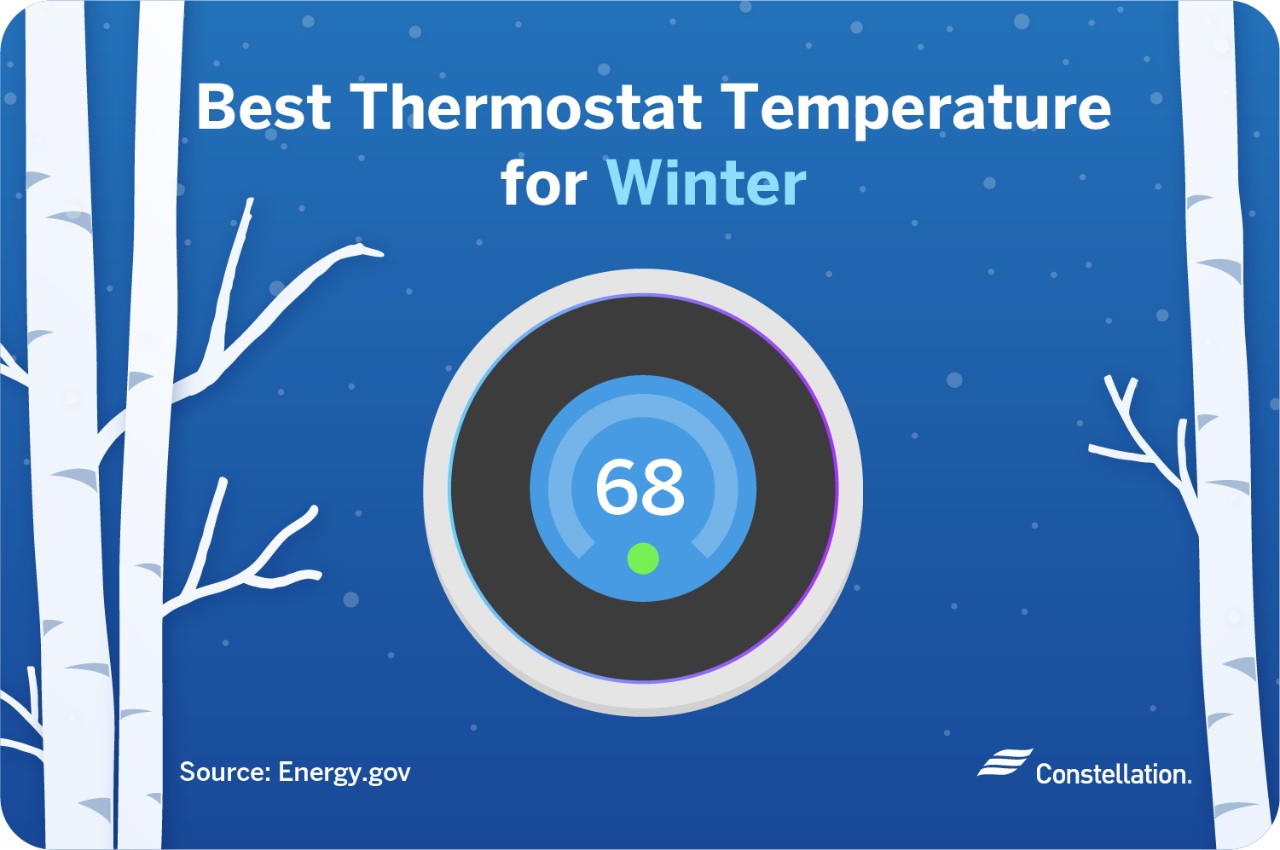 Ideal Thermostat Temperature for Winter