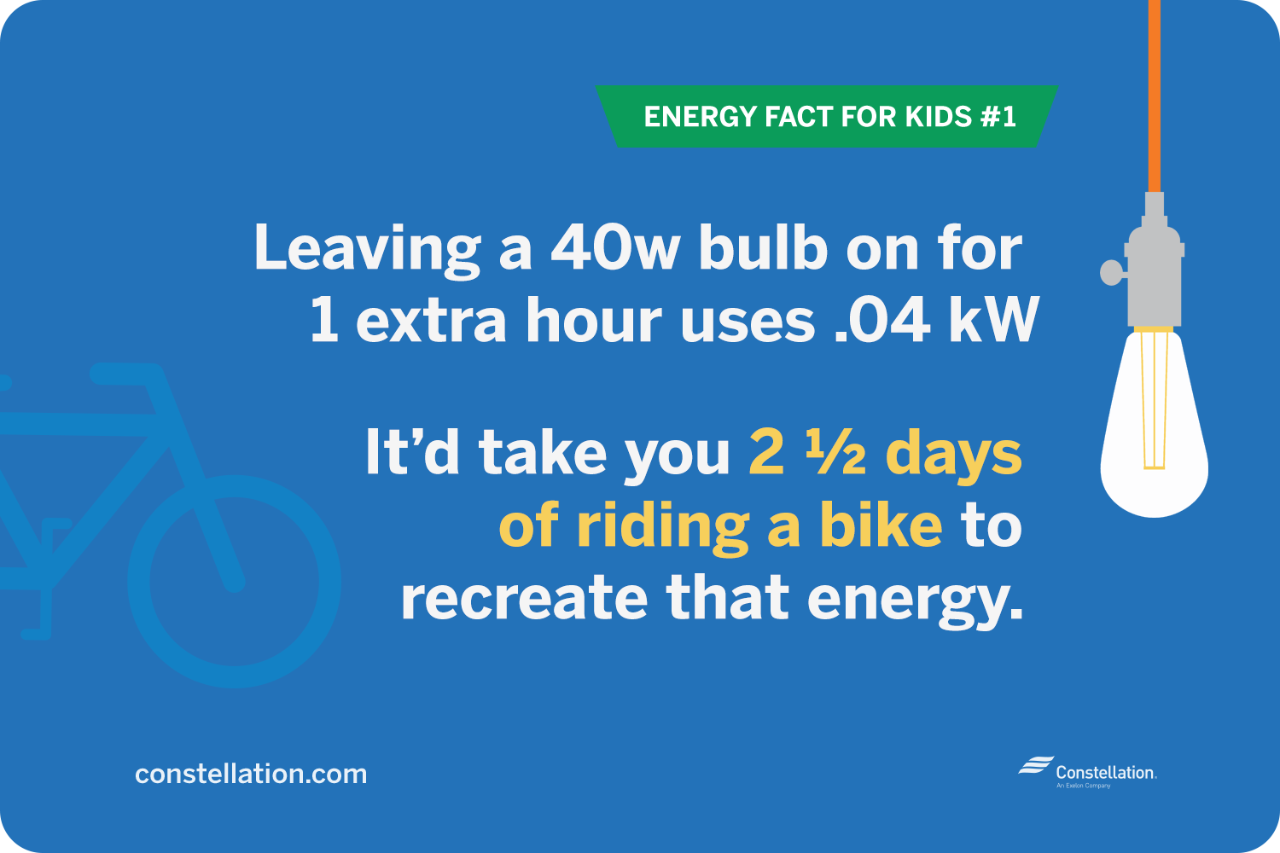 energy fact for kids #1