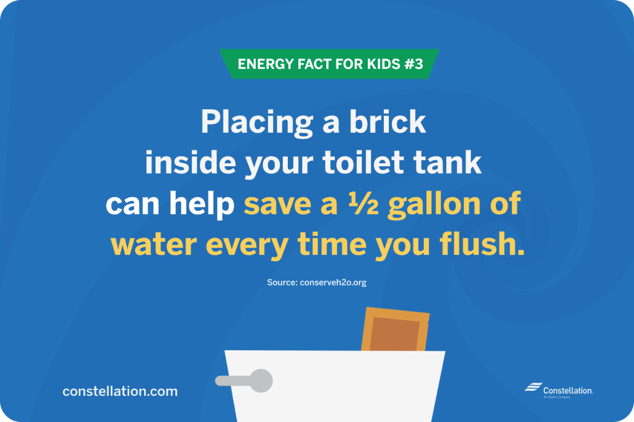 energy fact for kids #3