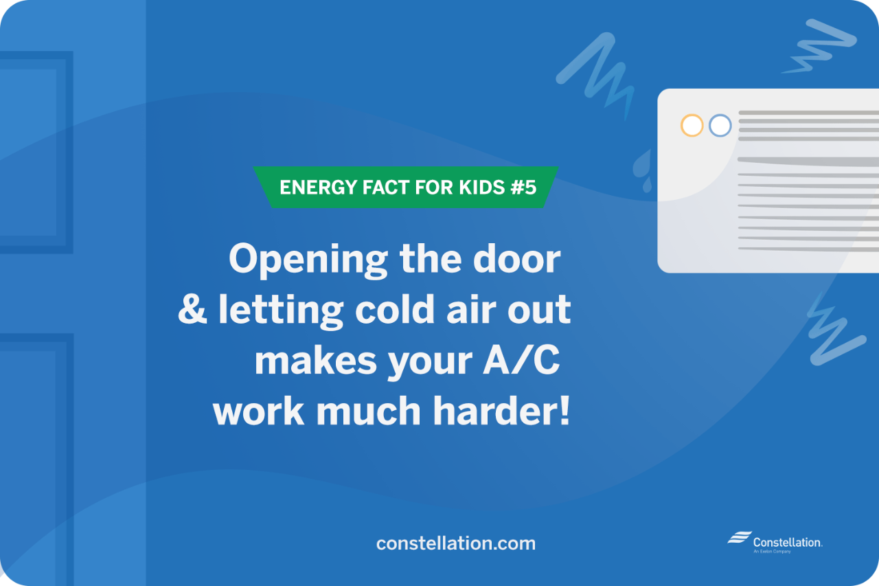 energy fact for kids #5