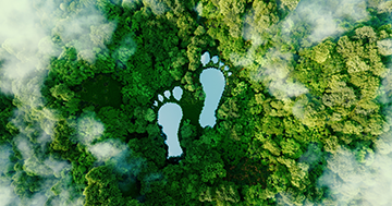 What is a carbon footprint?