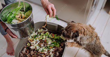 person composting