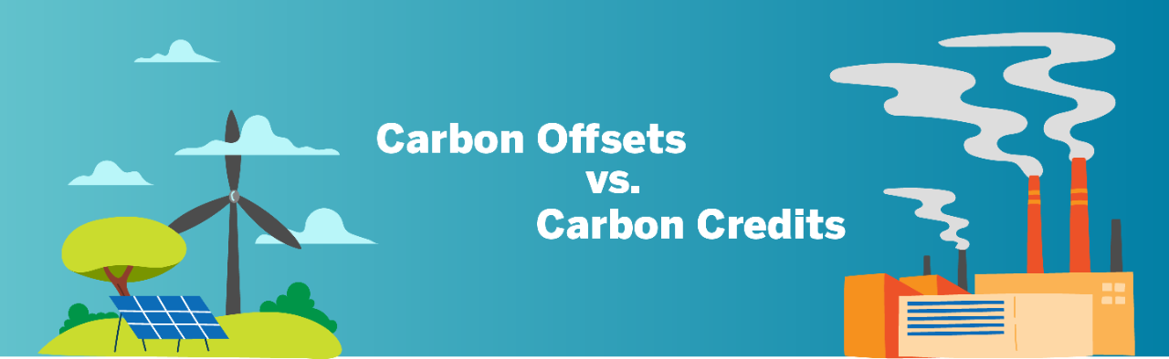 Carbon Offsets vs. Carbon Credits | Constellation