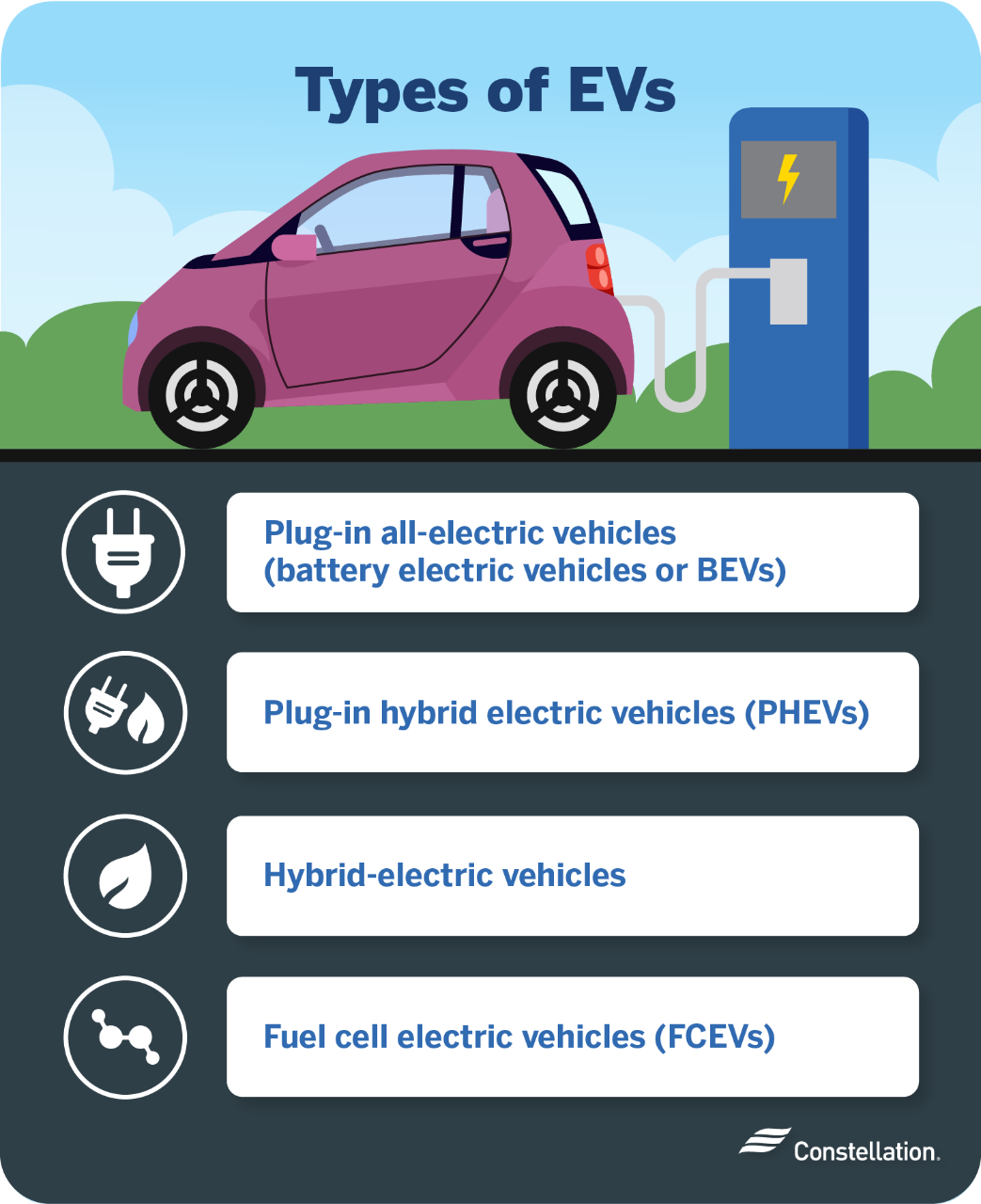 Types of EVs