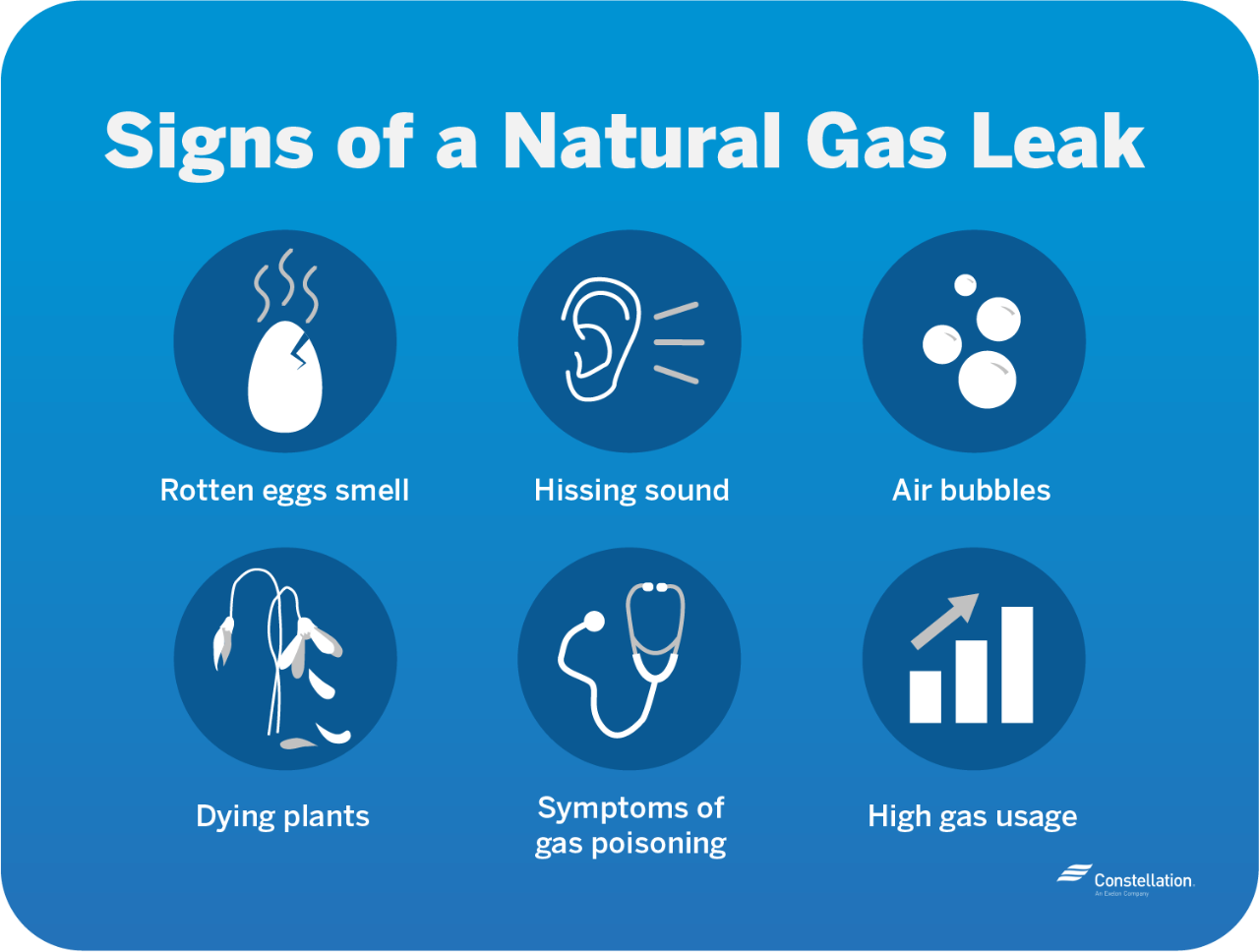 Rotten eggs smell, hissing sounds, air bubbles in standing water outdoors, dying plants, symptoms of gas poisoning, and high gas usage all can indicate a natural gas leak.