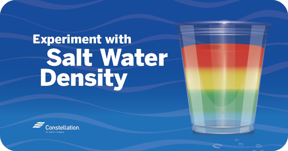Salt Water Density Experiment