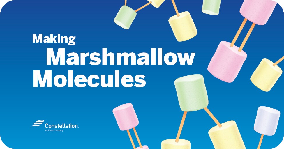 Marshmallow Molecules Experiment
