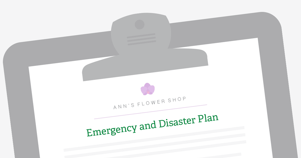 Establishing emergency recovery and disaster plan
