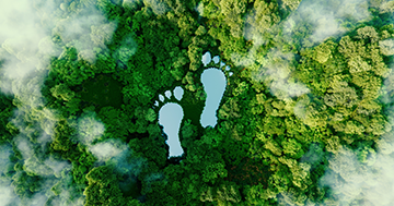 35 Ways to Reduce Your Carbon Footprint