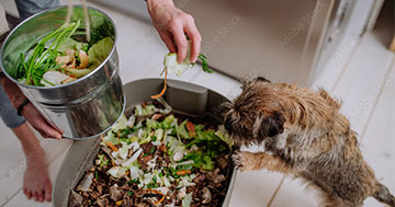 35 Ways to Reduce Your Carbon Footprint